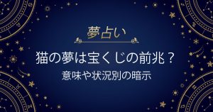 猫の夢 宝くじ