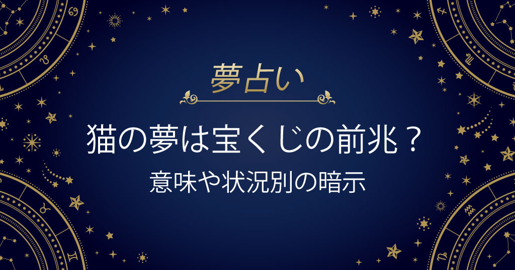 猫の夢 宝くじ
